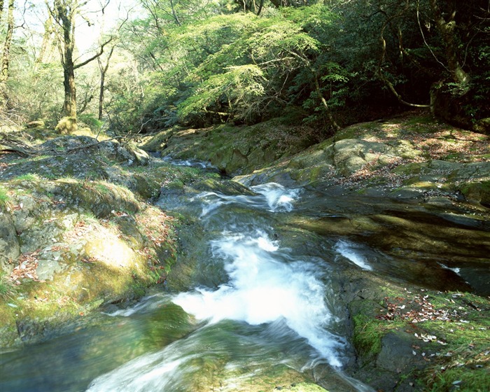 Cascada arroyos fondo de pantalla (1) #4