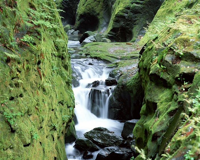 Cascada arroyos fondo de pantalla (1) #5