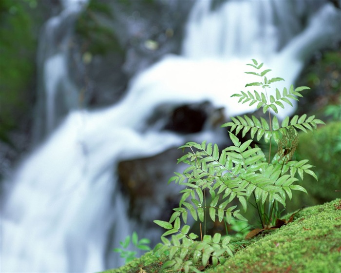 Waterfall streams wallpaper (1) #12