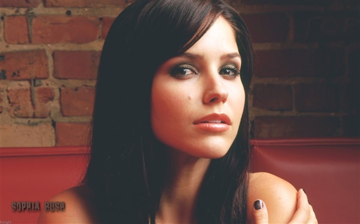 Sophia Bush hermoso fondo de pantalla #3