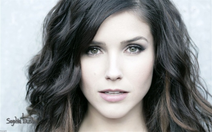 Sophia Bush schöne Tapete #17