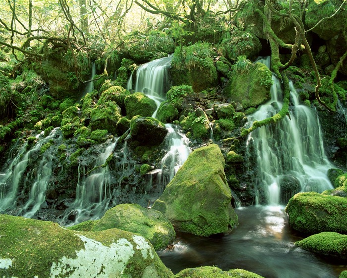 Waterfall streams wallpaper (2) #7