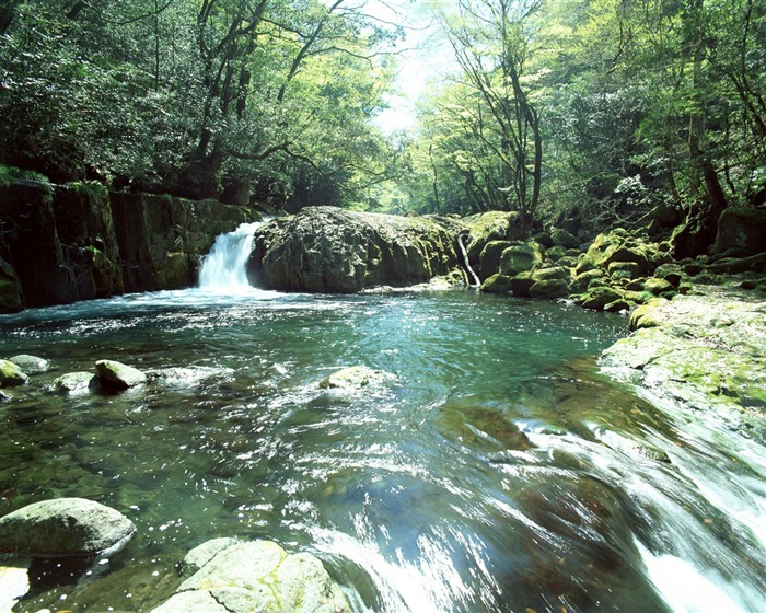 Cascada arroyos fondo de pantalla (2) #16