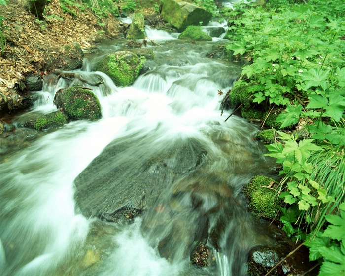 Cascada arroyos fondo de pantalla (2) #20