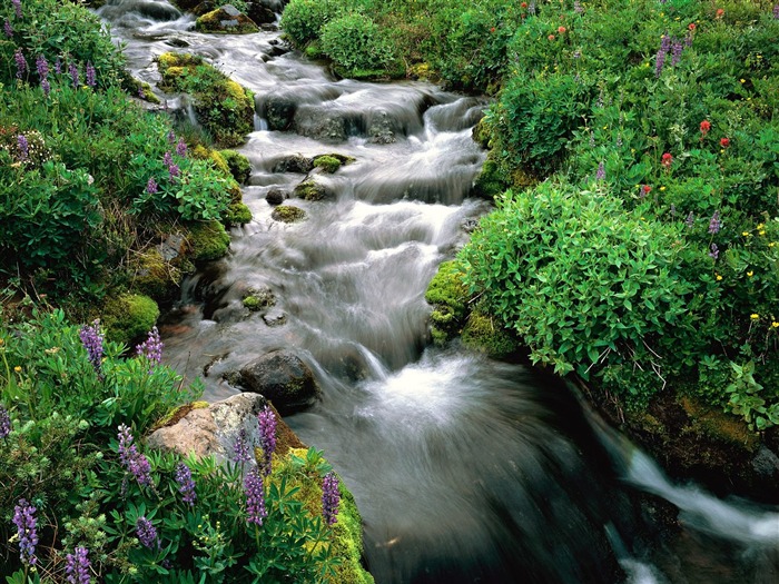 Cascada arroyos fondo de pantalla (3) #14