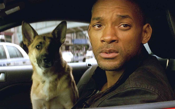 I Am Legend HD обои #8