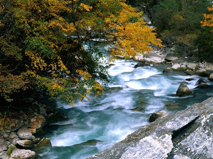 Cascada arroyos fondo de pantalla (4) #1