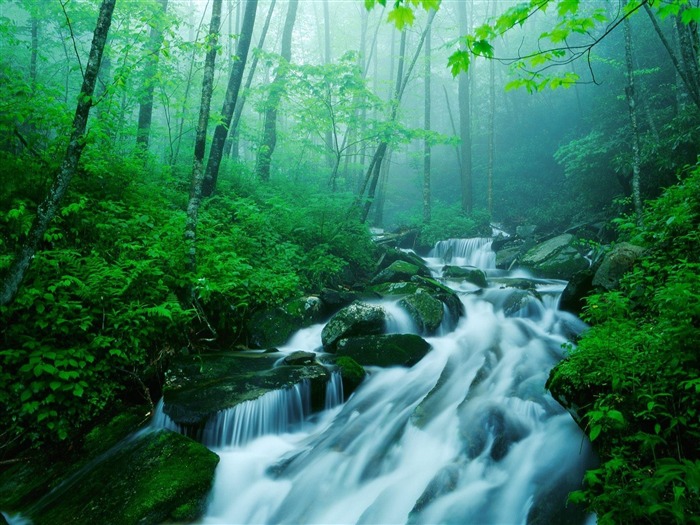 Waterfall streams wallpaper (4) #6