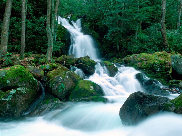 Waterfall streams wallpaper (6) #4