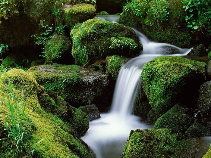 Waterfall streams wallpaper (6) #9