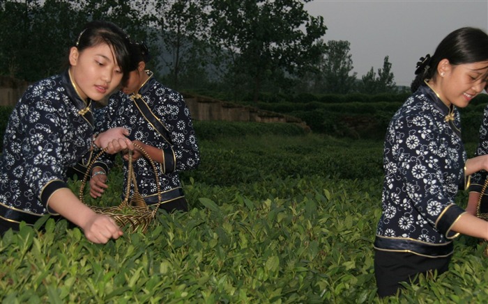 Landschaftsfotografie (4) (Li Shanquan Werke) #2