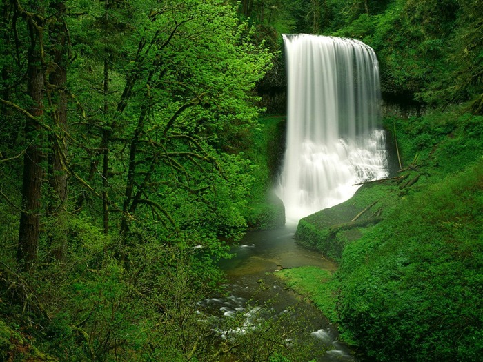 Cascada arroyos fondo de pantalla (7) #11