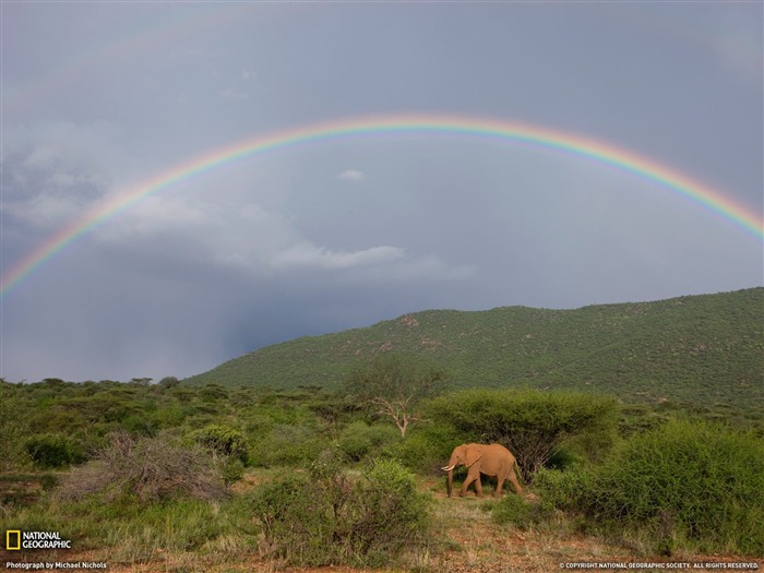 Nacional Geographic animales fondos de escritorio de disco (6) #16