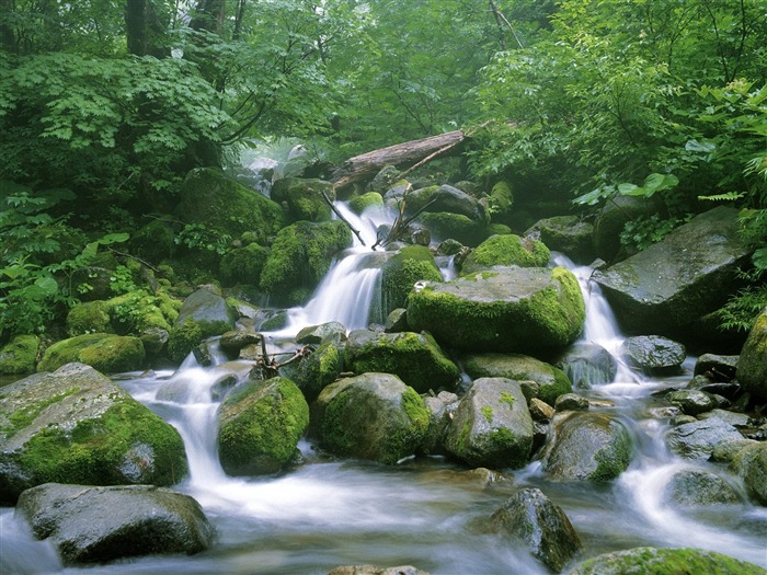 Waterfall streams wallpaper (8) #16