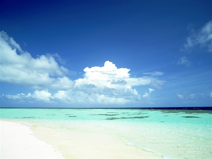 Beach scenery wallpapers (2) #8