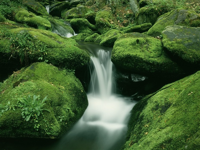 Waterfall-Streams Wallpaper (9) #4