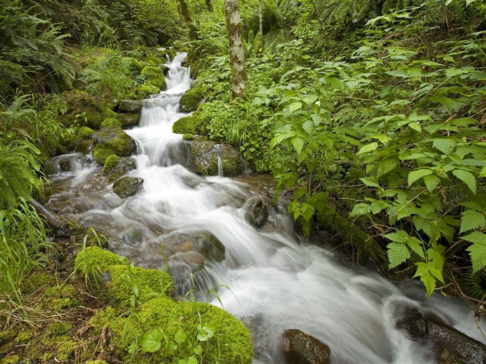 Cascada arroyos fondo de pantalla (9) #10