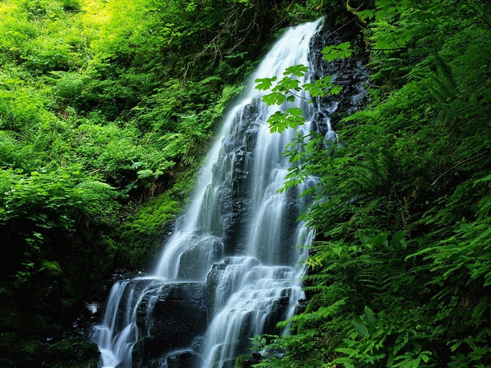 Cascada arroyos fondo de pantalla (9) #11