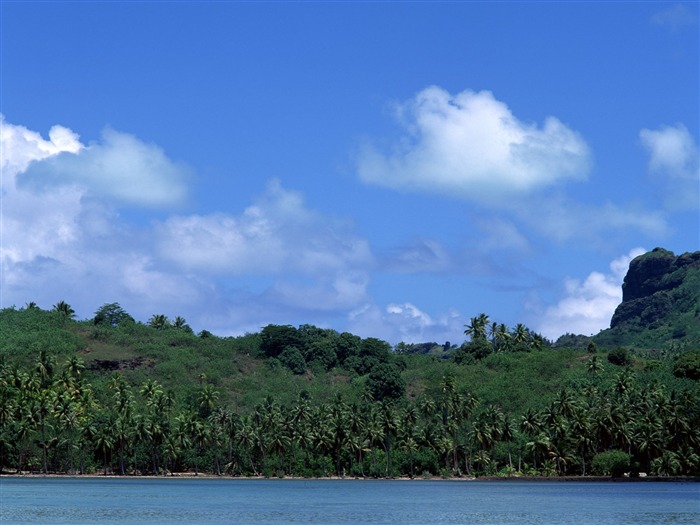 Fonds d'écran paysage de plage (3) #19