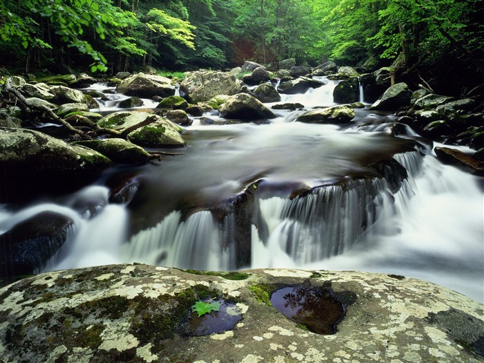 Waterfall-Streams Wallpaper (10) #9