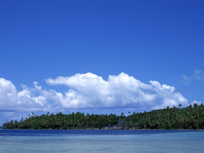 Playa fondos de pantalla paisaje (4) #2