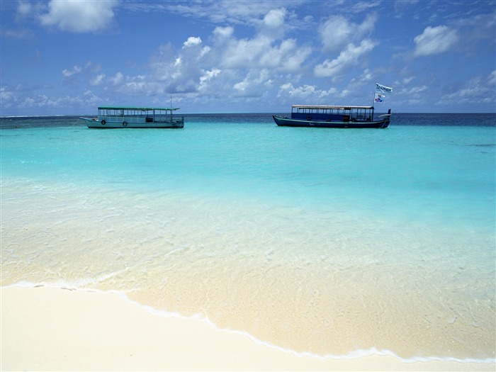 Fonds d'écran paysage de plage (4) #17