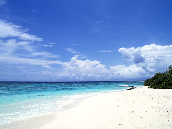 Beach scenery wallpapers (4) #18