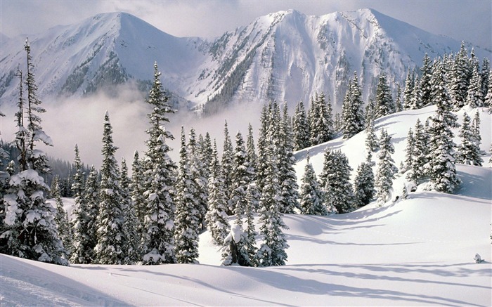 Fond d'écran panoramique de neige (1) #19