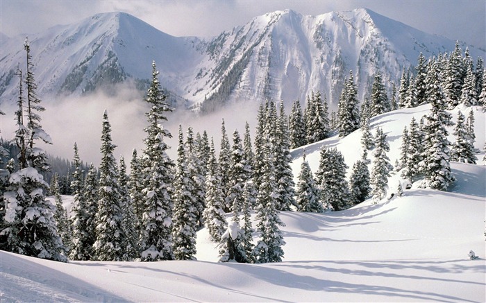 Snow Widescreen-Wallpaper (1) #19