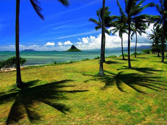 Playa fondos de pantalla paisaje (5) #17