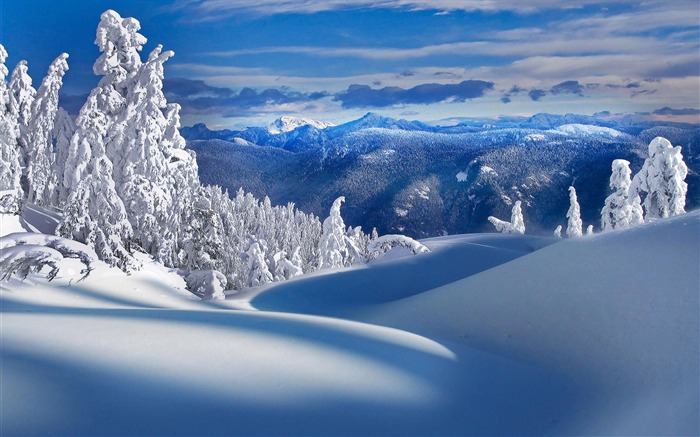 Fond d'écran panoramique de neige (2) #4