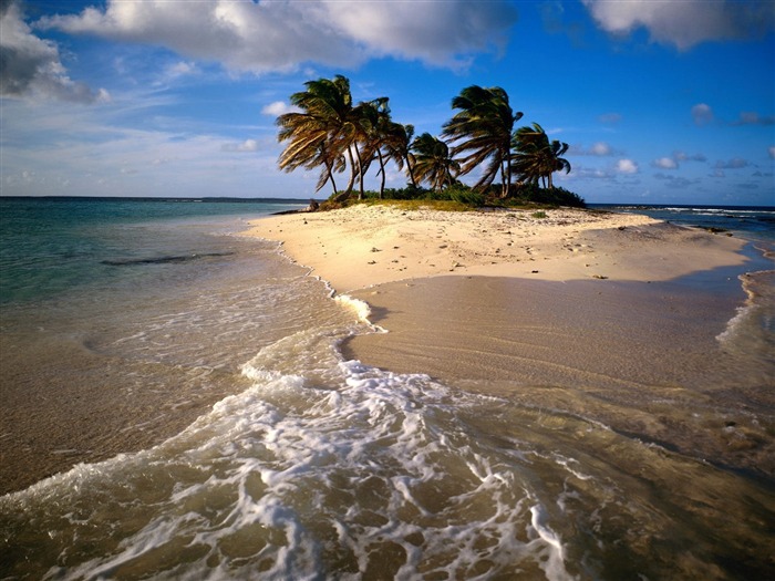 Playa fondos de pantalla paisaje (6) #3