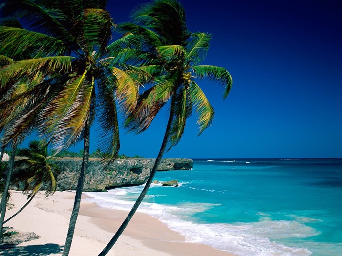 Beach scenery wallpapers (6) #5