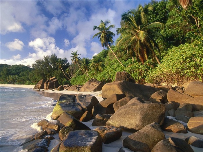 Playa fondos de pantalla paisaje (6) #13