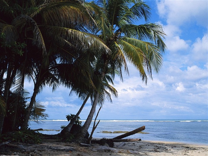 Fonds d'écran paysage de plage (6) #20