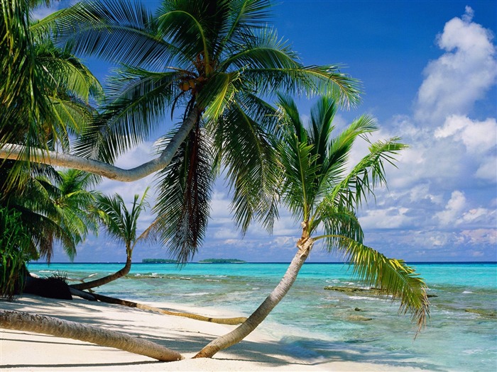 Beach Landschaft Wallpaper (7) #10