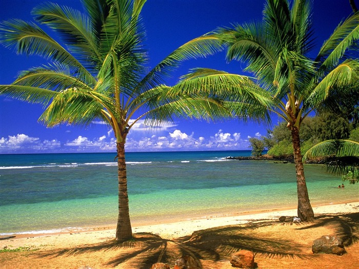 Beach Landschaft Wallpaper (7) #12