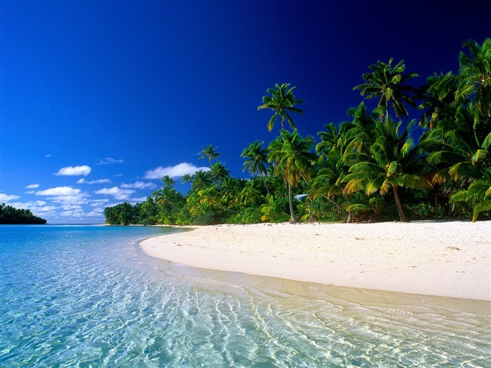 Beach scenery wallpapers (7) #20
