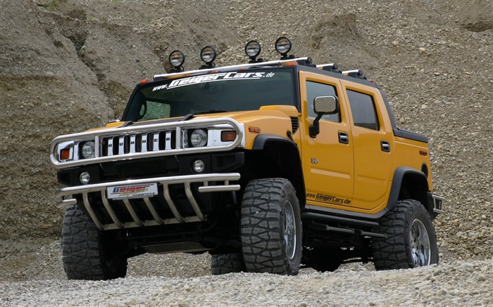 Hummer disco fondo de pantalla (6) #18