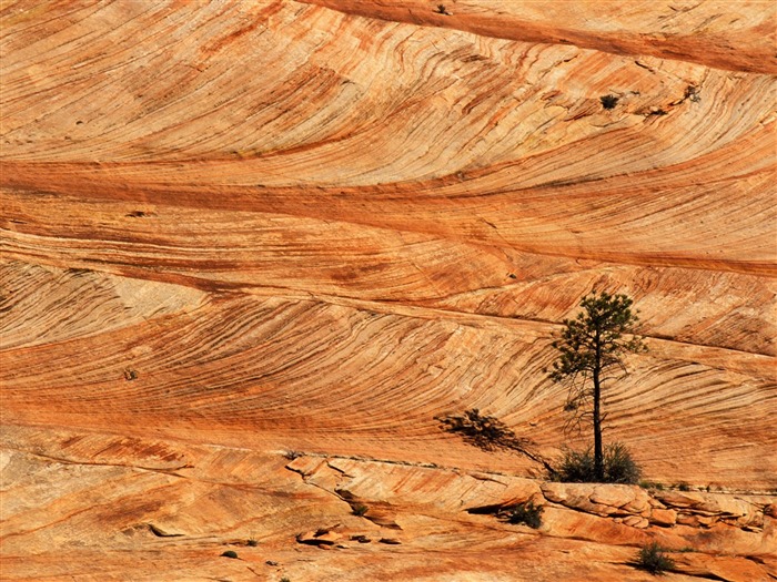 Red Rock Fondo de pantalla del disco #3