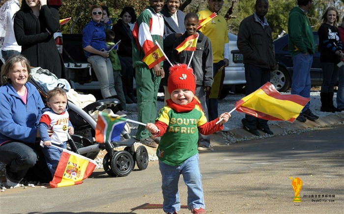 Sudáfrica la Copa Mundial de fondos de escritorio de serie (1) #4