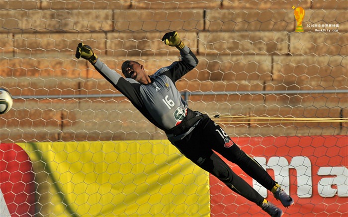 Sudáfrica la Copa Mundial de fondos de escritorio de serie (2) #7