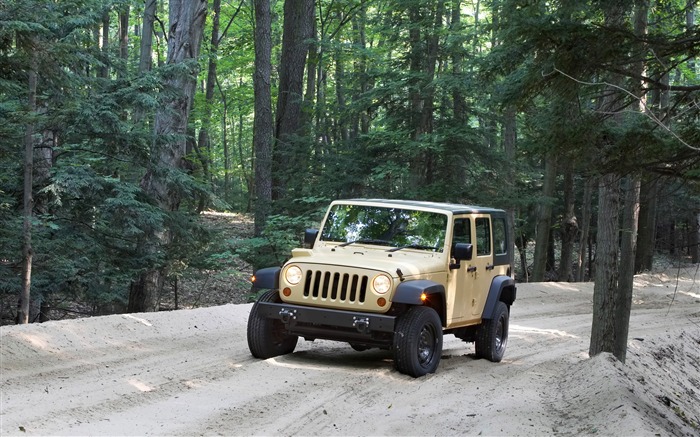 Jeep Tapete Album (2) #19