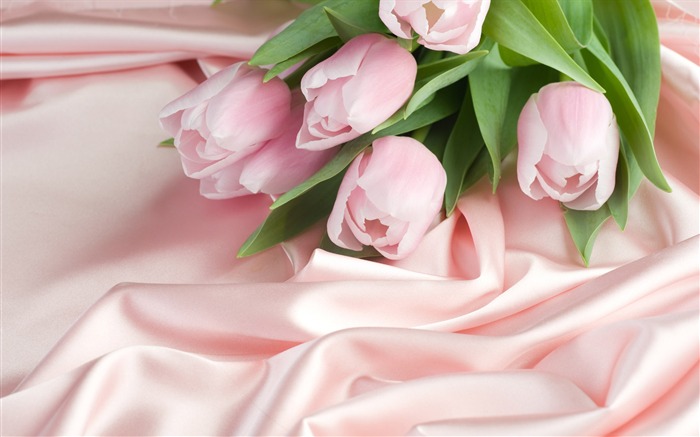 Tulip wallpaper album (9) #3