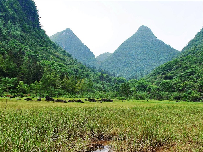 Fotografía de paisaje (2) (obras genzhukou) #12