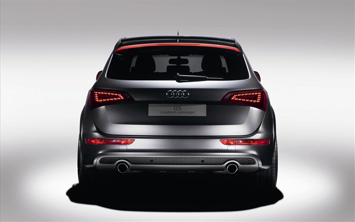 Fond d'écran Audi concept-car (1) #18