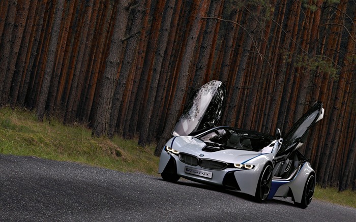 BMW Concept Car tapety (2) #13