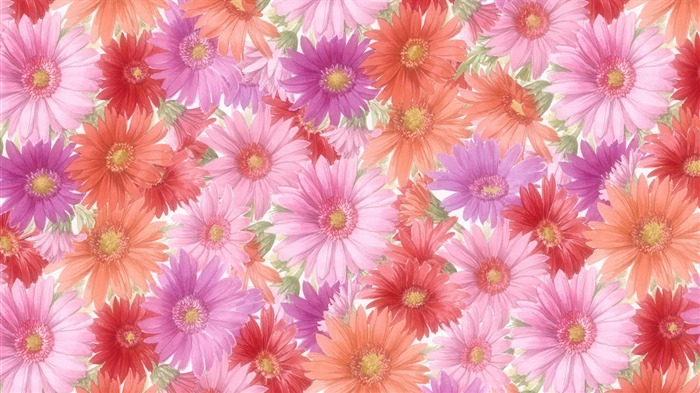 fleurs fond d'écran Widescreen close-up (13) #7