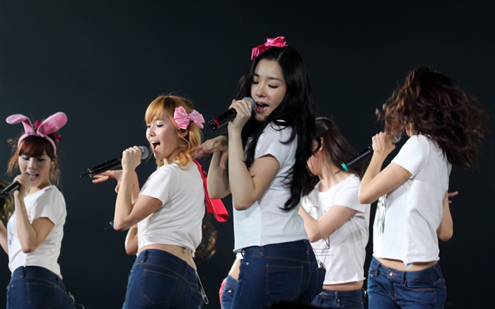 Girls Generation concert wallpaper (1) #5