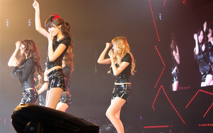 Girls Generation concert wallpaper (1) #7